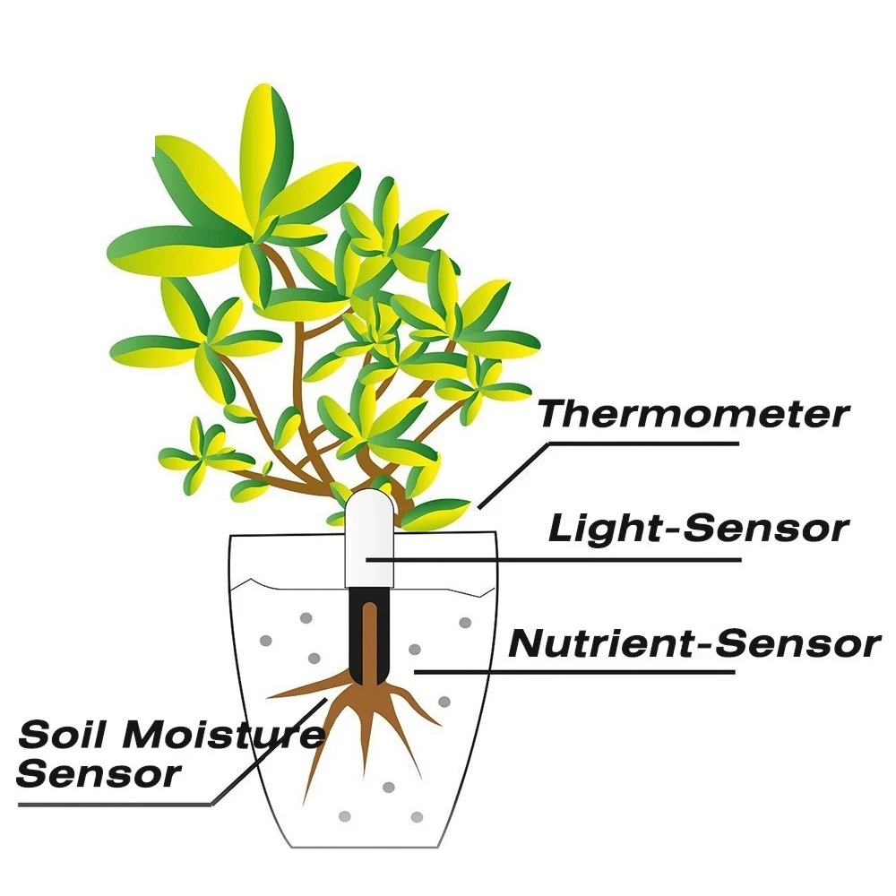 HHCC-Monitor de flores para el - Smart Garden Products reseña y precio